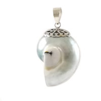 Colgante nautilus en plata de ley