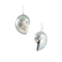 Pendientes nautilus en plata de ley