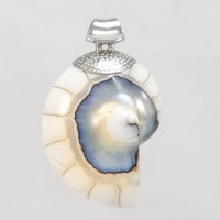 Colgante Nautilus grande