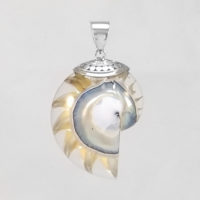 Colgante Nautilus transparente mediano